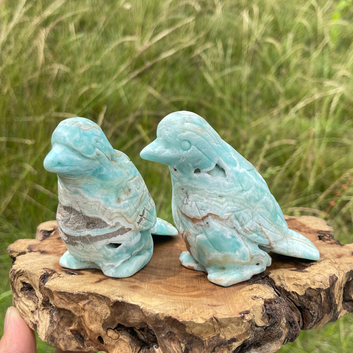 Unique,Natural Crystal Hemimorphite Cute Bird Carving