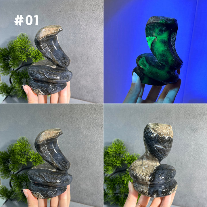 Unique,Volcanic Agate Snake