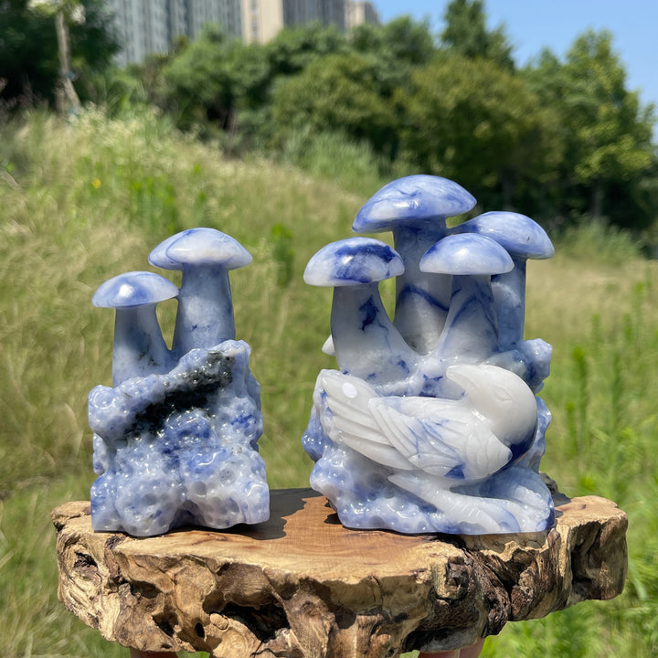 Unique,A Slightly Imperfect Natural Blue And White Porcelain Sodalite Mushroom