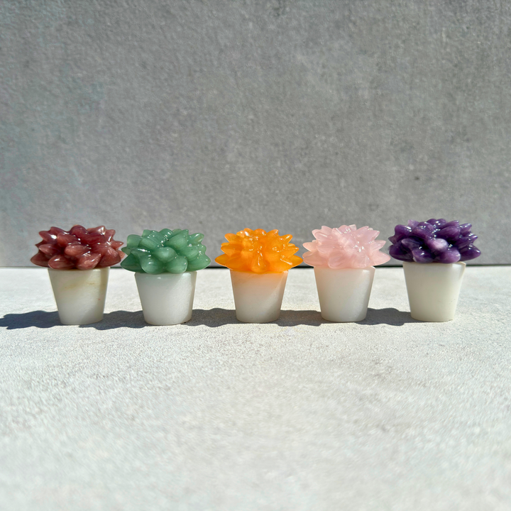 Crystal Succulents