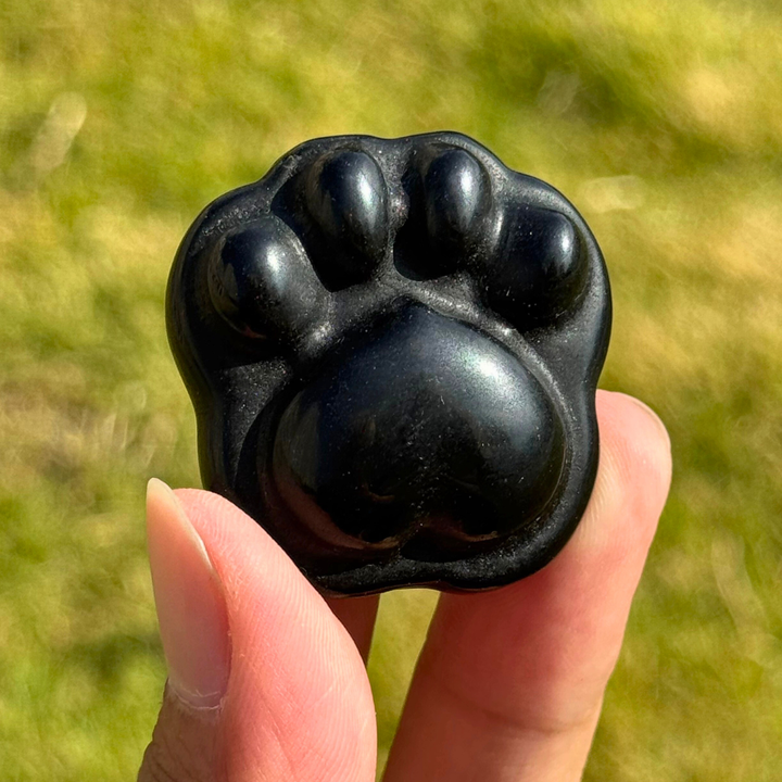 Natural Obsidian Cat Paw Sculpture