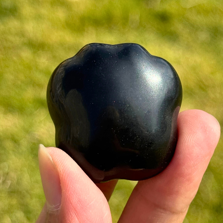 Natural Obsidian Cat Paw Sculpture