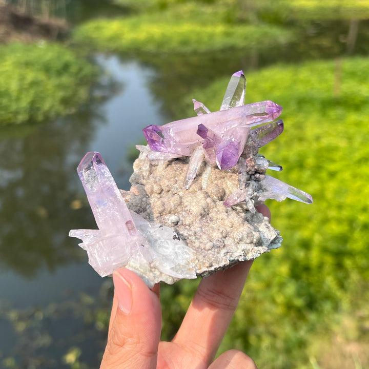 Vera Cruz Amethyst Cluster