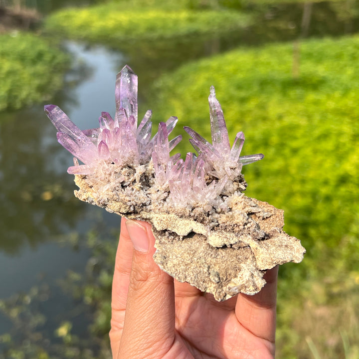 Vera Cruz Amethyst Cluster