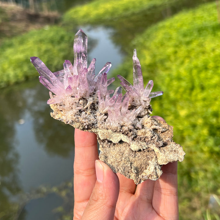 Vera Cruz Amethyst Cluster