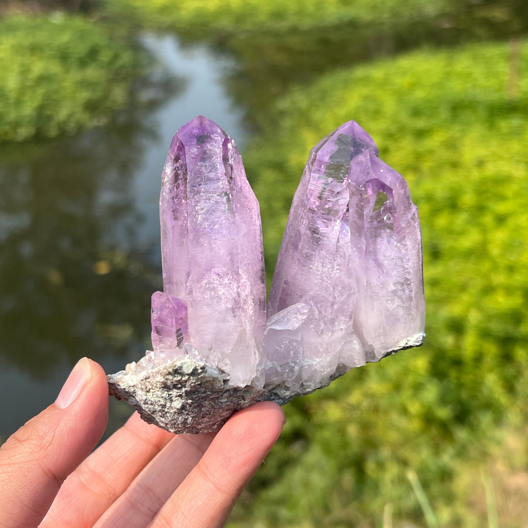 Vera Cruz Amethyst Cluster