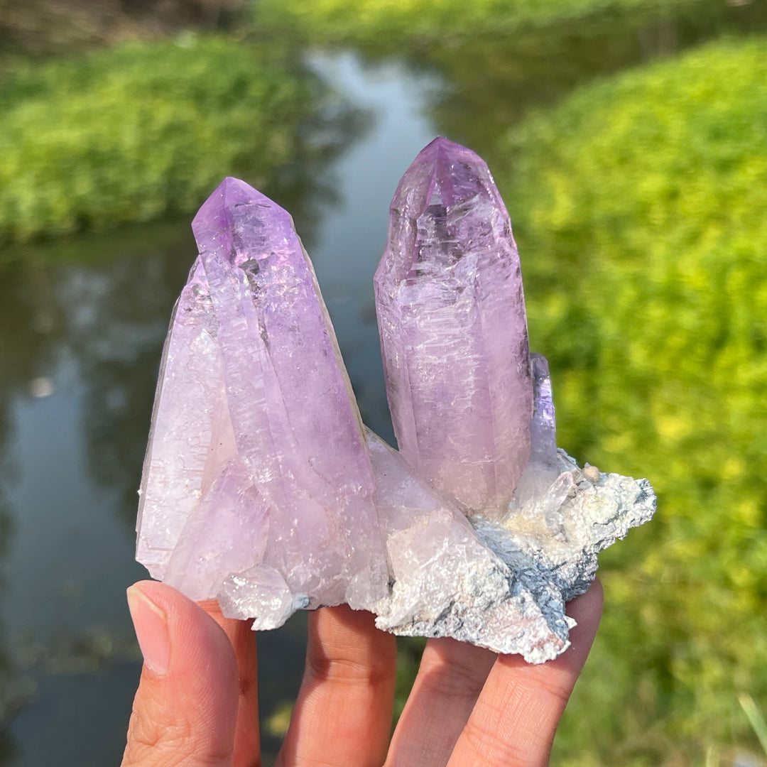 Vera Cruz Amethyst Cluster