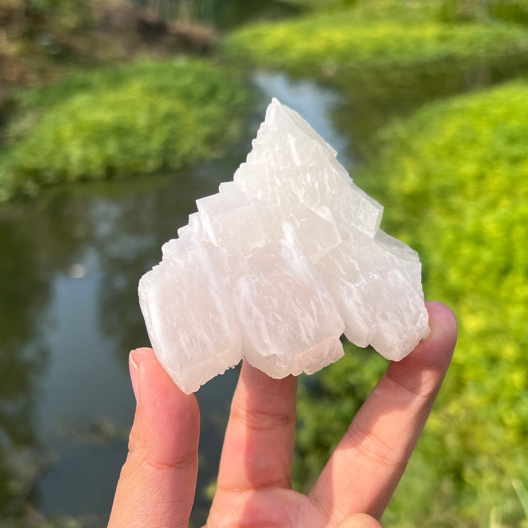 Pyrite On Calcite