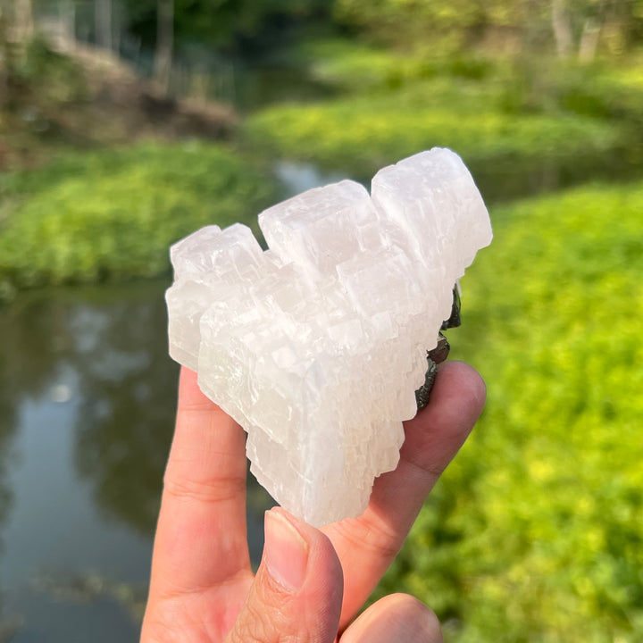 Pyrite On Calcite