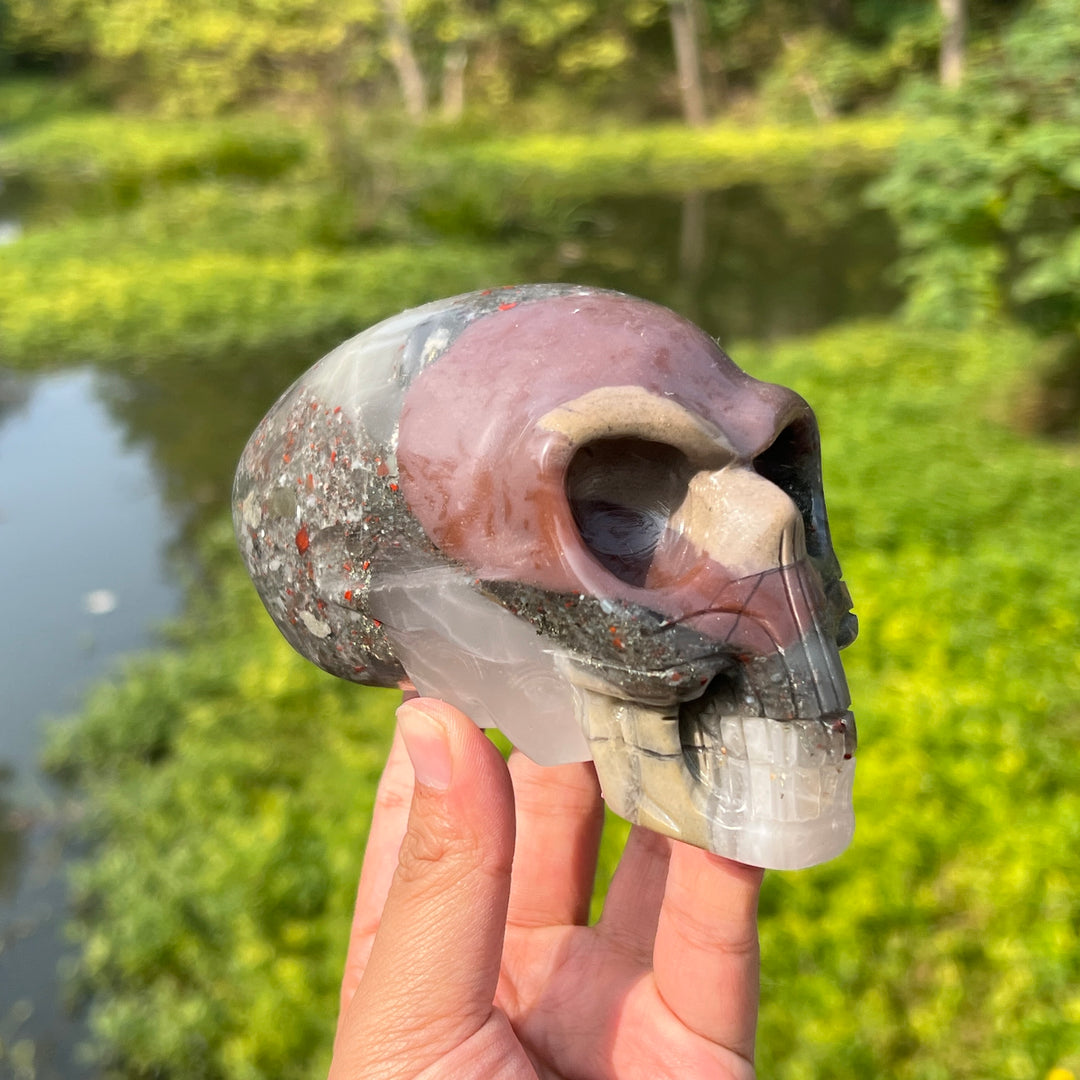 Africa Blood Stone Alien Skull