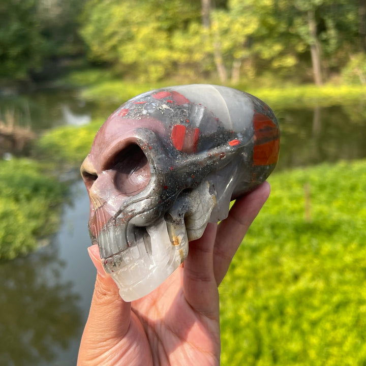 Africa Blood Stone Alien Skull