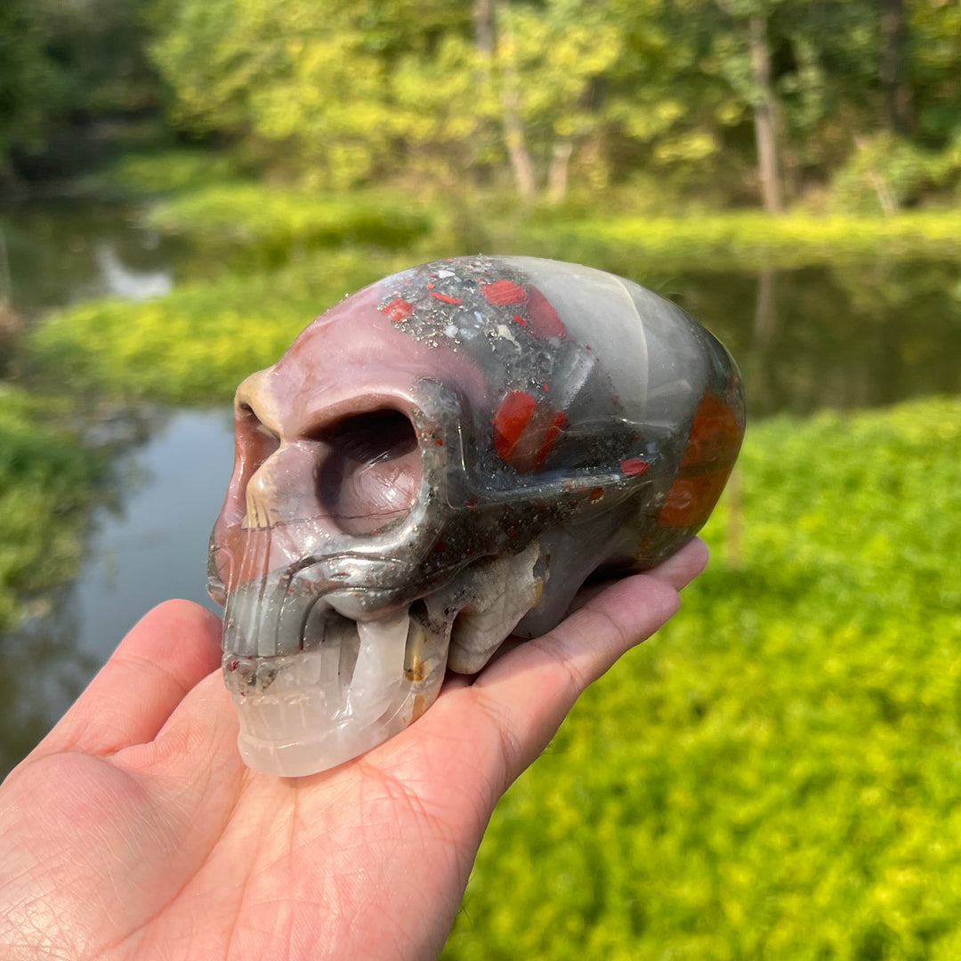 Africa Blood Stone Alien Skull