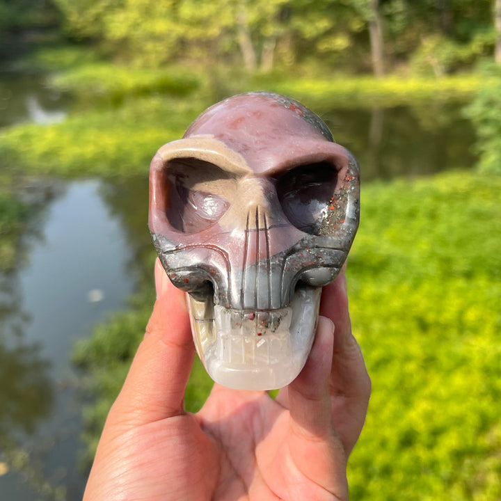 Africa Blood Stone Alien Skull