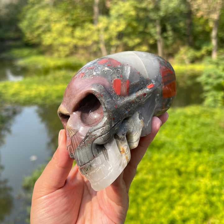 Africa Blood Stone Alien Skull