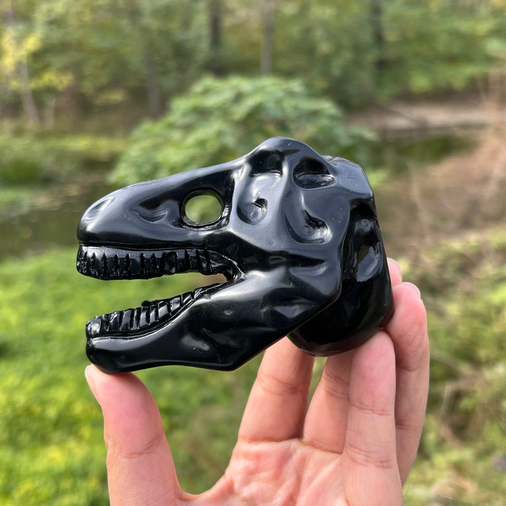 Obsidian Dinosaur Skull