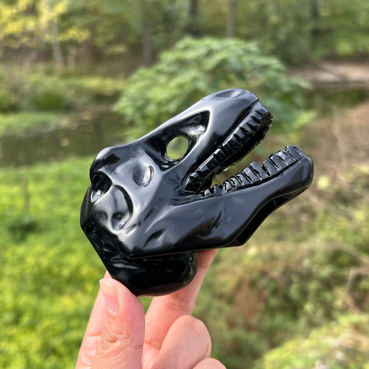 Obsidian Dinosaur Skull