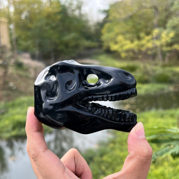 Obsidian Dinosaur Skull