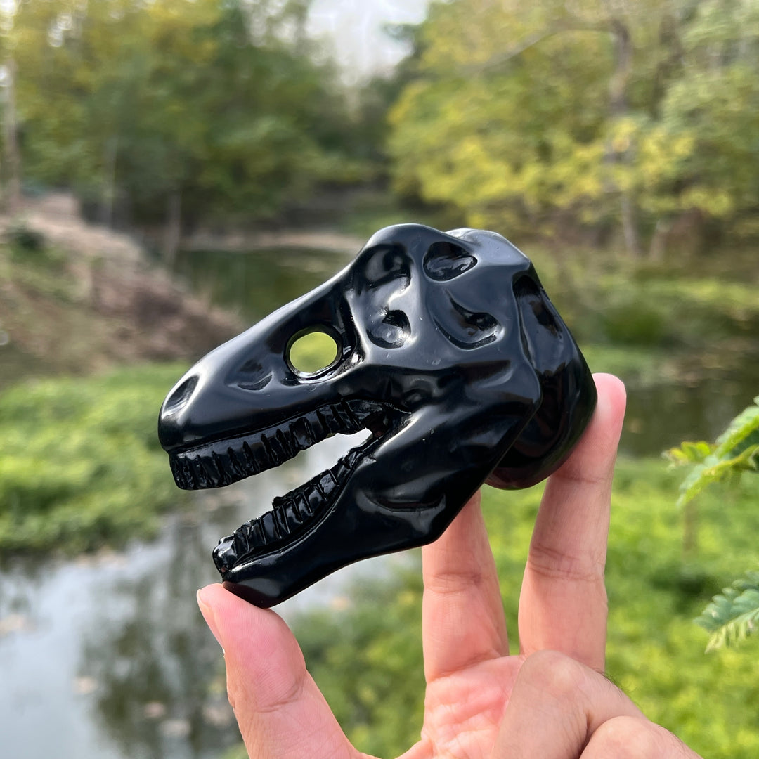 Obsidian Dinosaur Skull