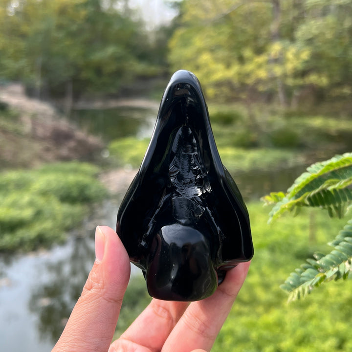 Obsidian Dinosaur Skull