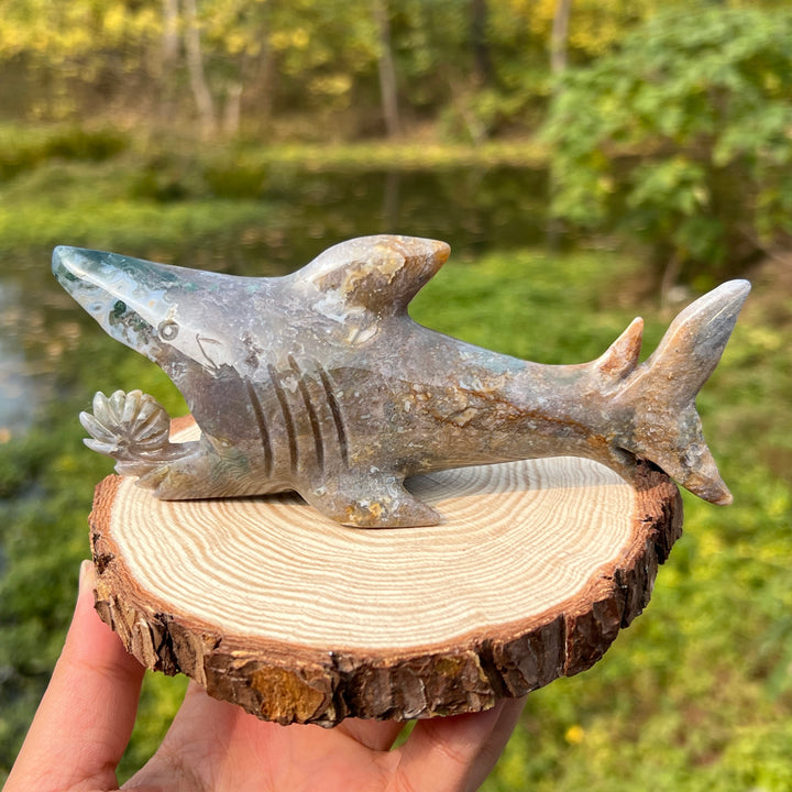 Shark Carving