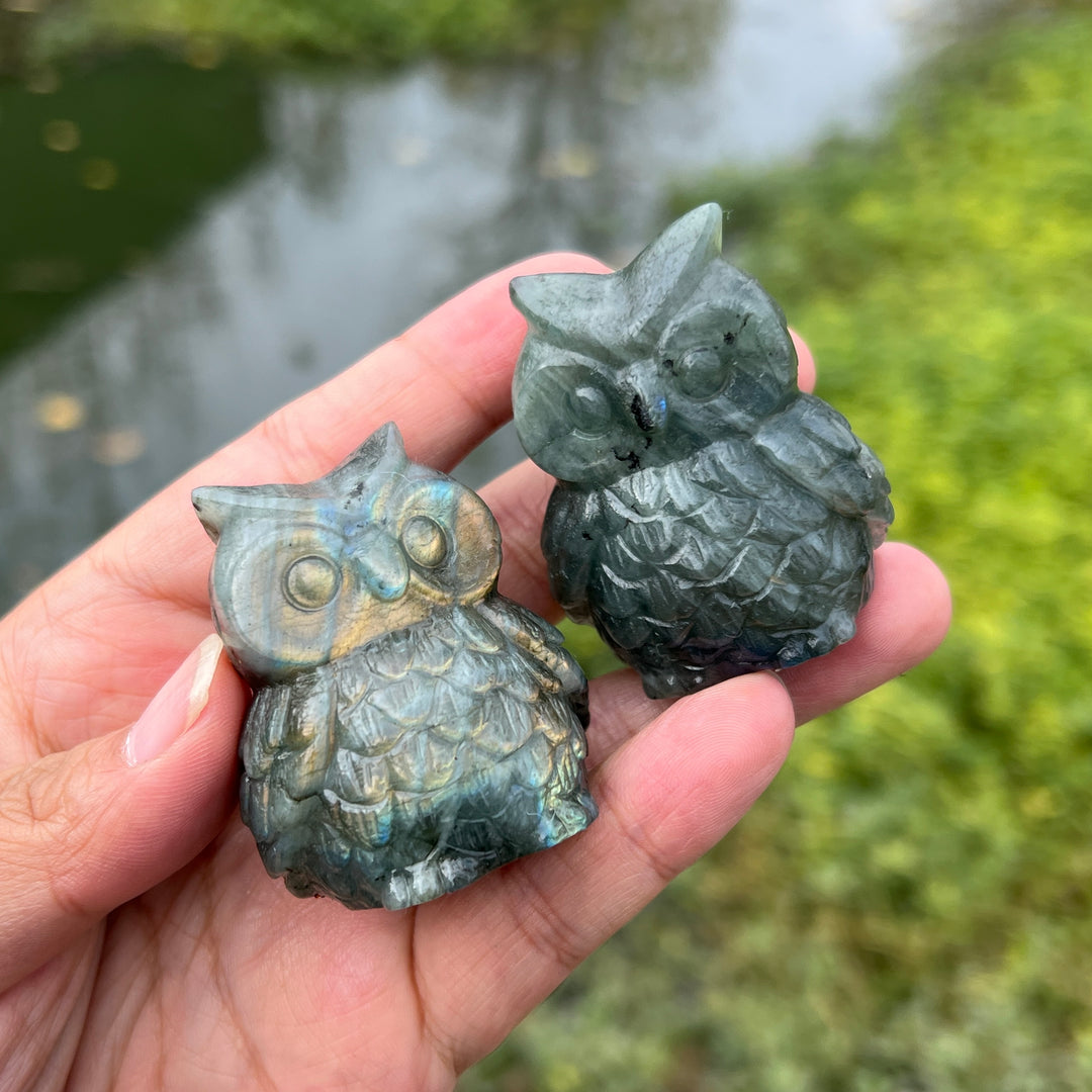 Labradorite Owl Carving