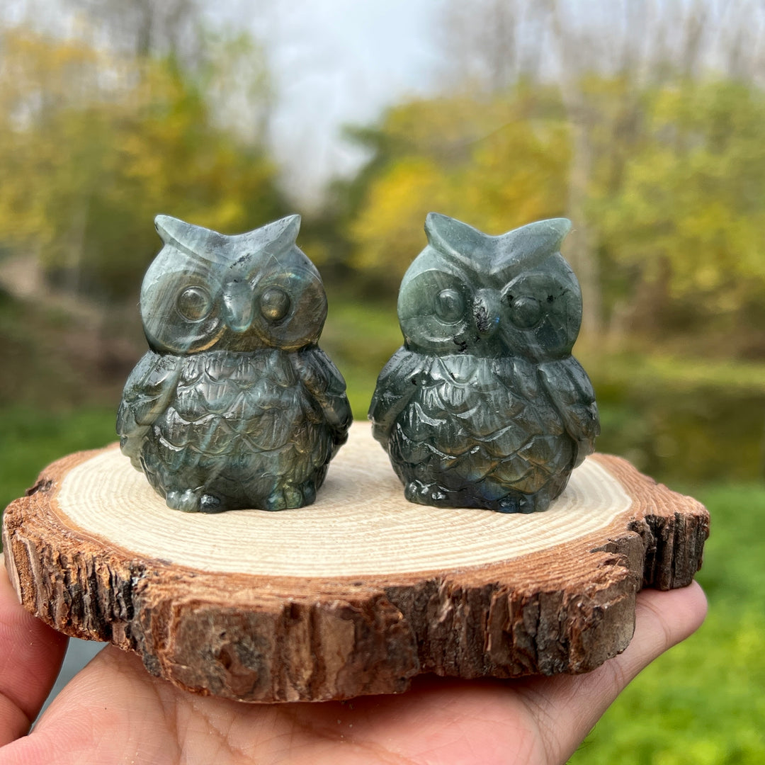 Labradorite Owl Carving