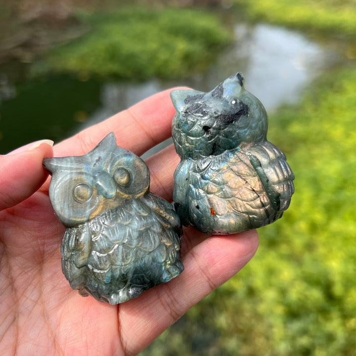 Labradorite Owl Carving