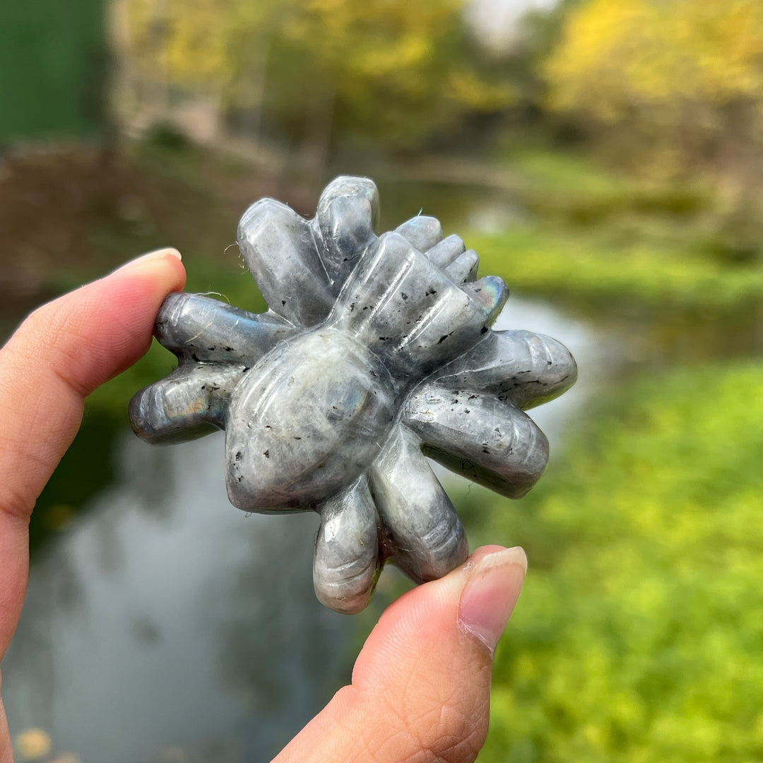 Labradorite Spider Carving