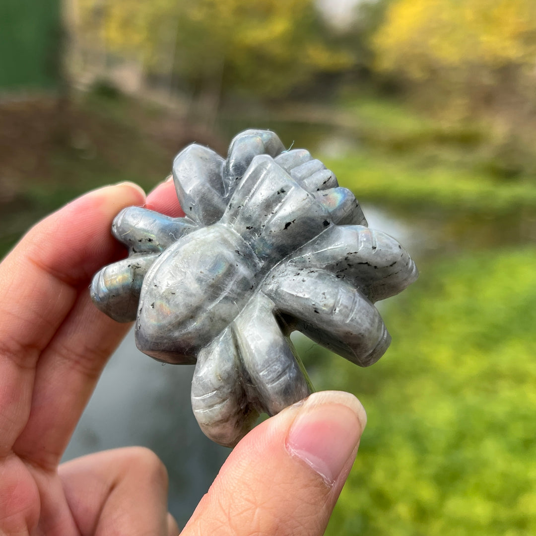 Labradorite Spider Carving