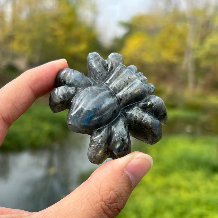 Labradorite Spider Carving