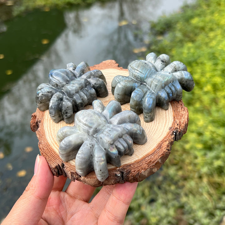 Labradorite Spider Carving