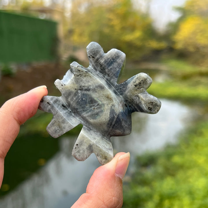 Labradorite Spider Carving