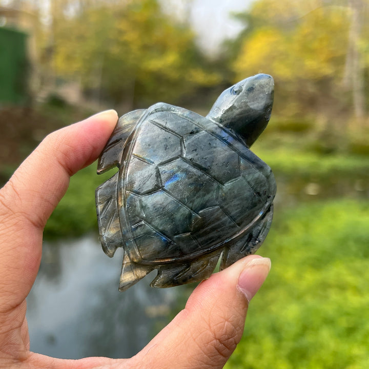 Labradorite Sea Turtles Carving