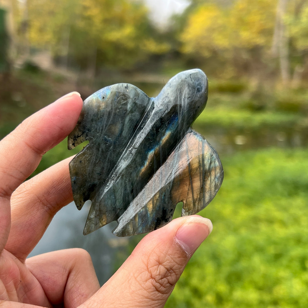 Labradorite Sea Turtles Carving