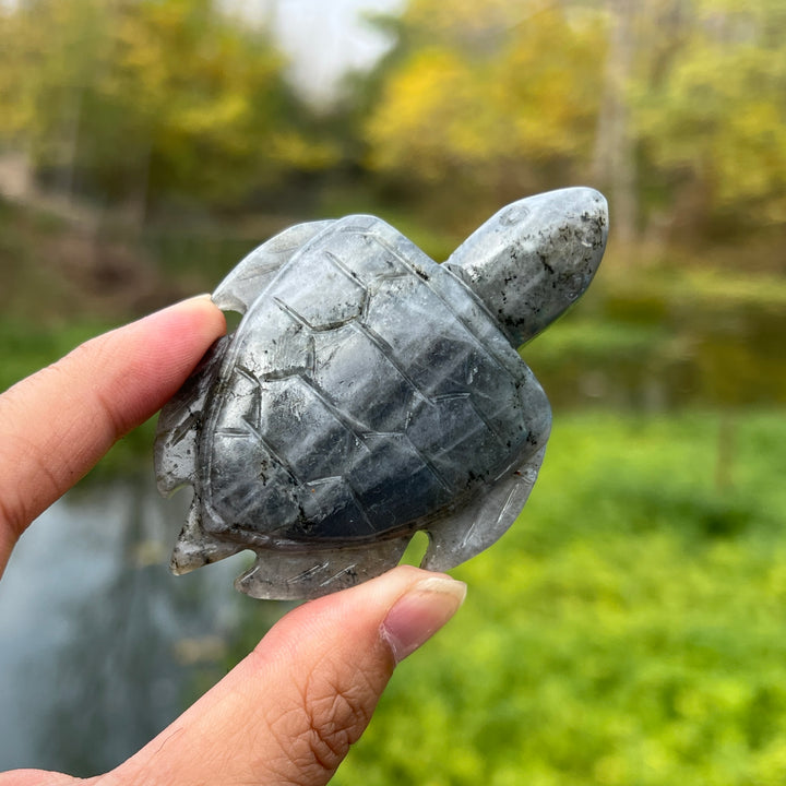 Labradorite Sea Turtles Carving