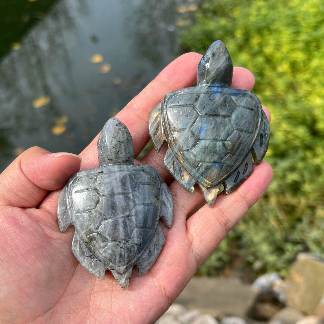 Labradorite Sea Turtles Carving