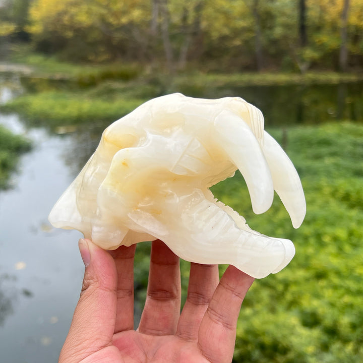 Afghan Jade Saber-Toothed Tiger Skull