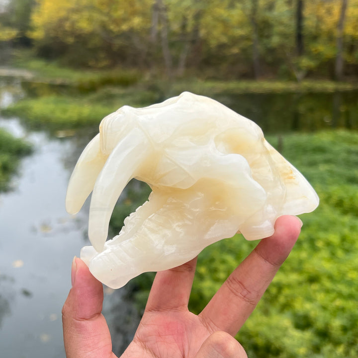 Afghan Jade Saber-Toothed Tiger Skull