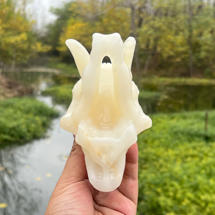 Afghan Jade Saber-Toothed Tiger Skull