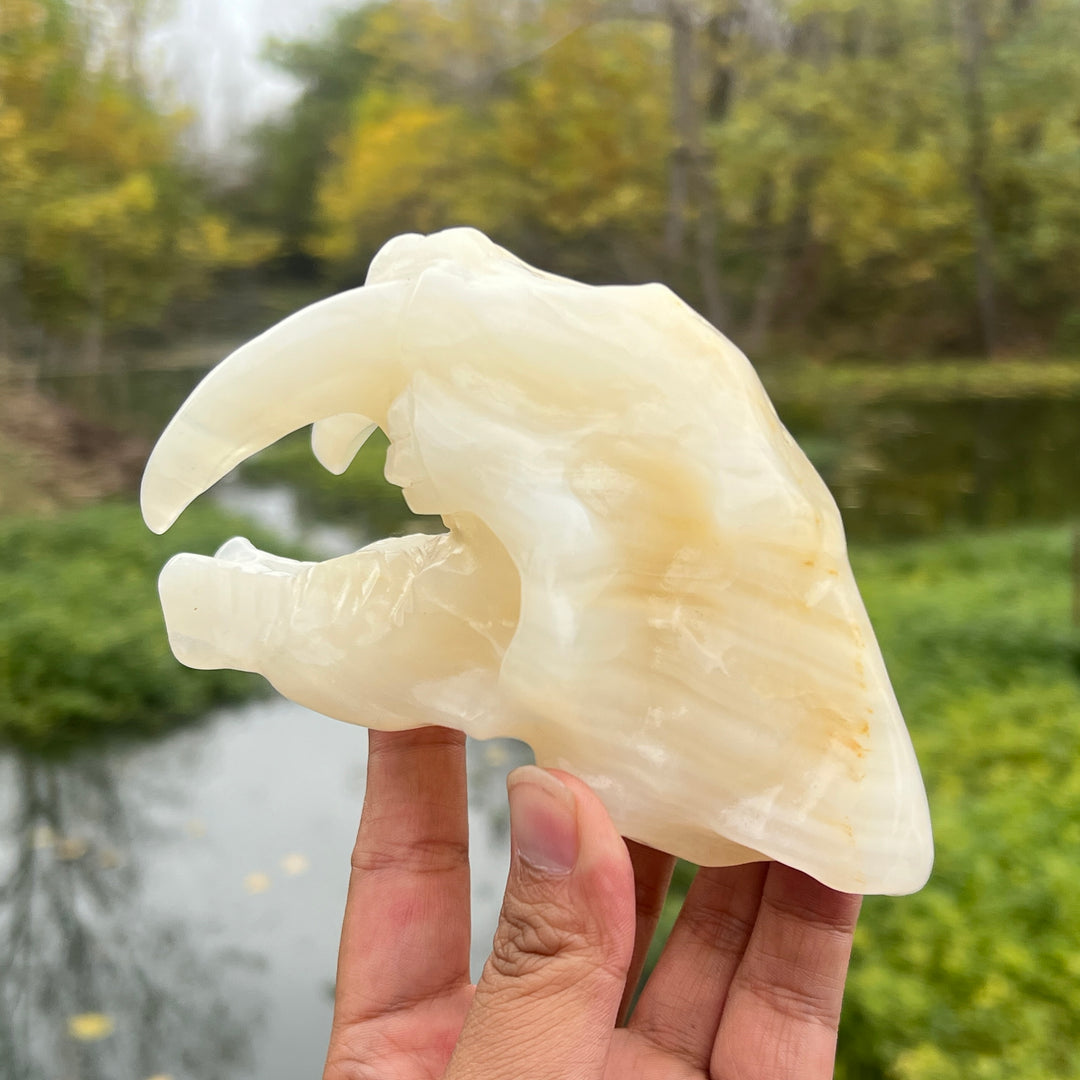 Afghan Jade Saber-Toothed Tiger Skull