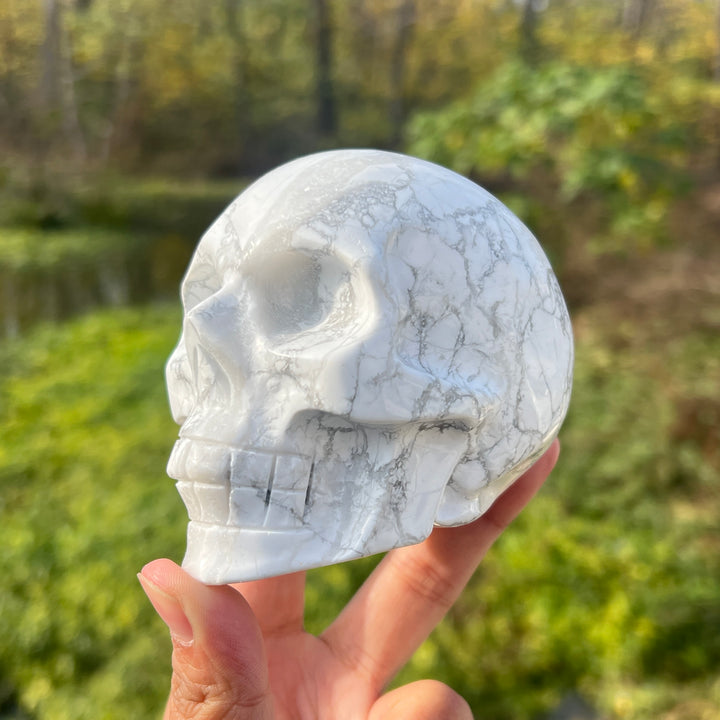 Howlite Skull