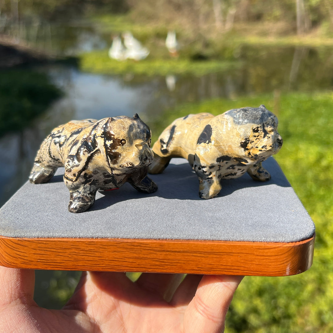 Picture Jasper Bulldog Carving