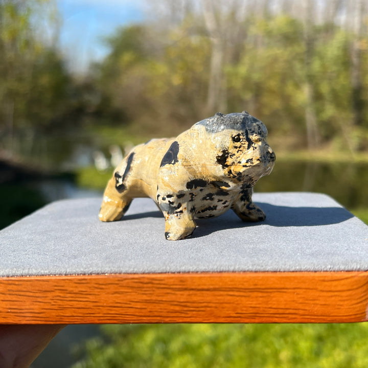 Picture Jasper Bulldog Carving