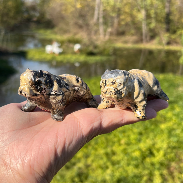 Picture Jasper Bulldog Carving