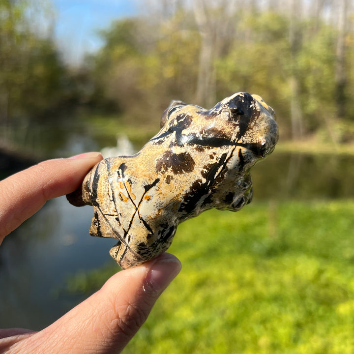 Picture Jasper Bulldog Carving