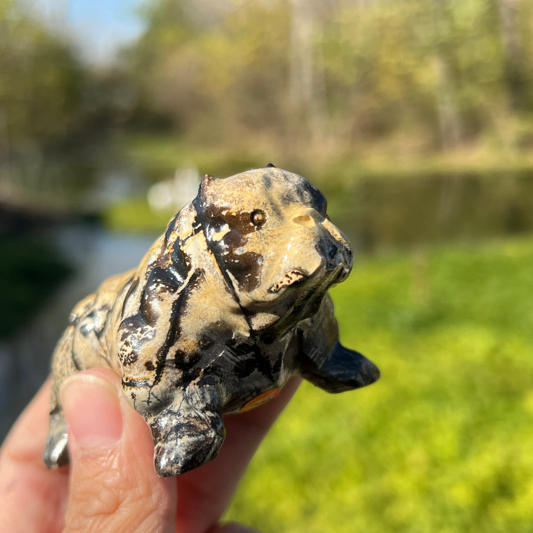 Picture Jasper Bulldog Carving