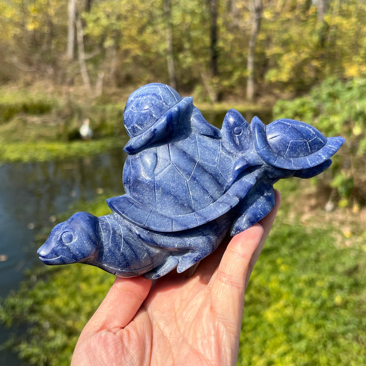 Blue Aventurine Tortoise