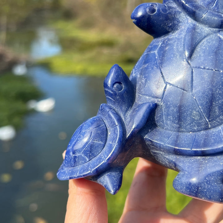 Blue Aventurine Tortoise