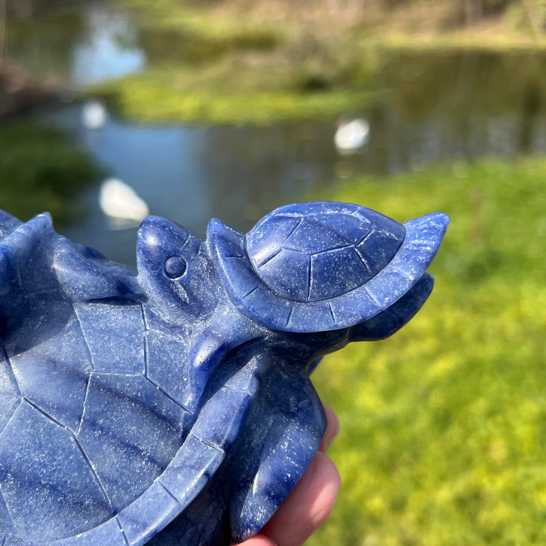 Blue Aventurine Tortoise