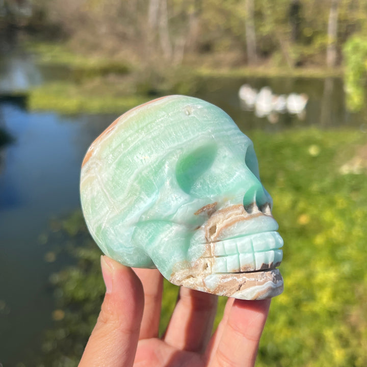 Caribbean Blue Calcite Skull